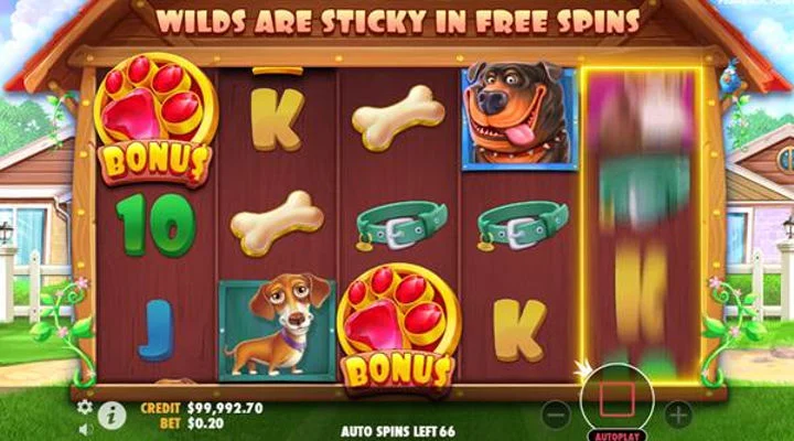 Rumah Seru Penuh Anjing Menggemaskan di The Dog House